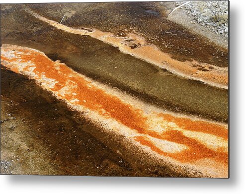 Yellowstone National Park Metal Print featuring the photograph Yellowstone 4 by Geraldine Alexander