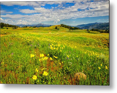 Yellowstone Metal Print featuring the photograph Yellowstone Blacktail Plateau by Greg Norrell