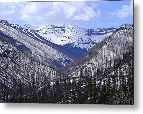 Landscape Metal Print featuring the photograph Yellowstone East Entrance Spring by Nadalyn Larsen