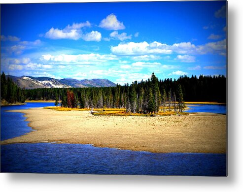 Yellowstone River Metal Print featuring the photograph Yellowstone River In Autumn by Lisa Holland-Gillem