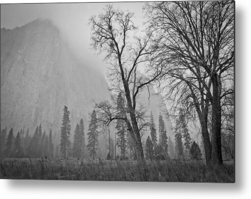 Yosemite Metal Print featuring the photograph Yosemite Storm by Priya Ghose