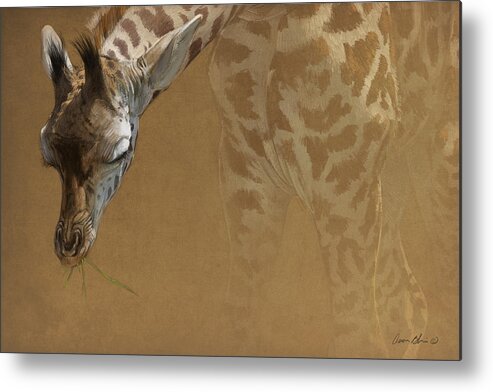Giraffe Metal Print featuring the digital art Young Giraffe by Aaron Blaise
