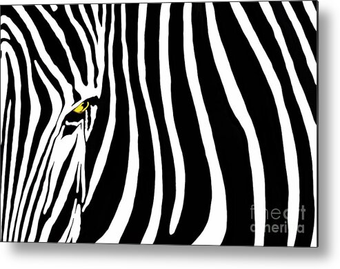 Zebra Metal Print featuring the photograph Zebressence LARGE by Dan Holm
