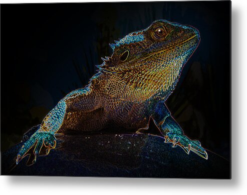 Lizard Metal Print featuring the photograph Zilla by Rick Bartrand