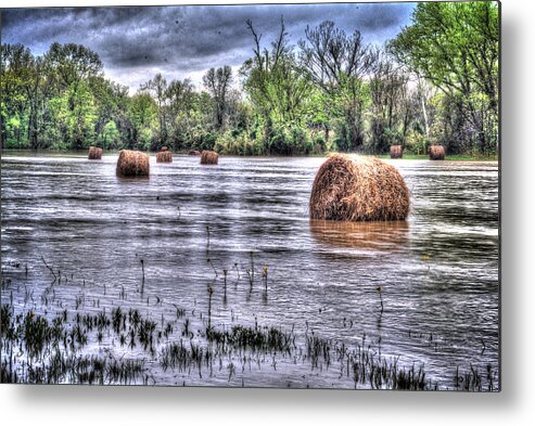 Farm Metal Print featuring the photograph 0804-3586 Flooded Hay by Randy Forrester