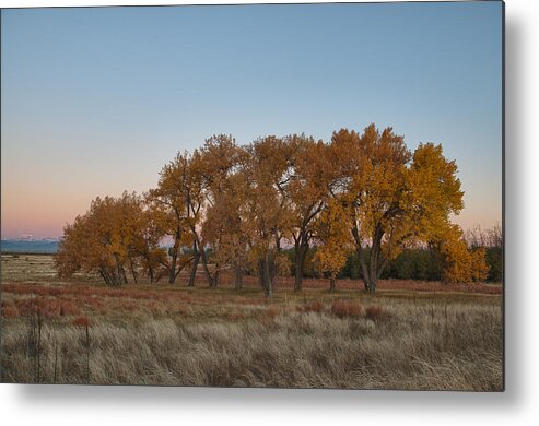 Hdr Metal Print featuring the photograph Cottonwood Grove by Monte Stevens