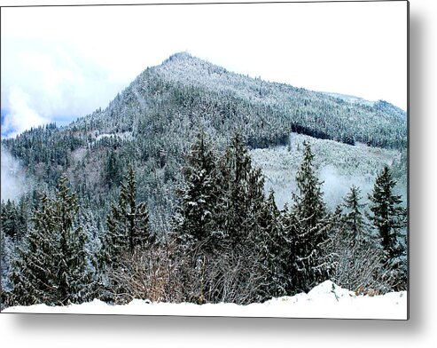 Elwha River Metal Print featuring the photograph Elwha Valley River Valley near Port Angeles Washington #1 by Kelly Manning