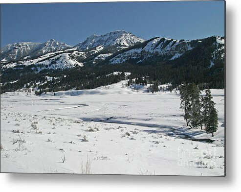 Lamar Valley Metal Print featuring the photograph Meanders #1 by Katie LaSalle-Lowery