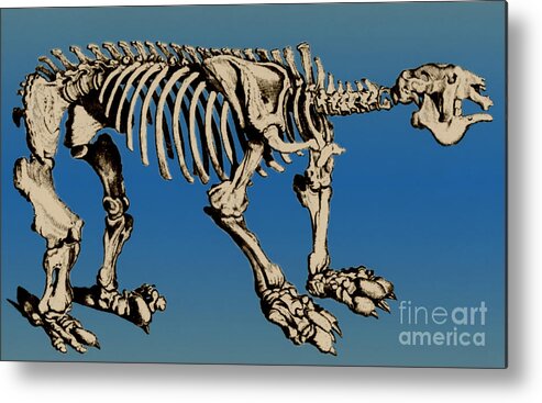 History Metal Print featuring the photograph Megatherium Extinct Ground Sloth #4 by Science Source