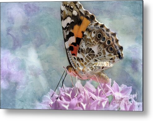 Butterfly Metal Print featuring the photograph Painted Lady Butterfly #1 by Betty LaRue