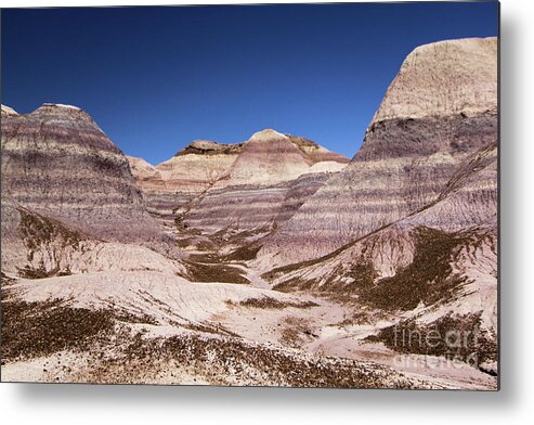 Petrified Forest National Park Metal Print featuring the photograph Petrified Forest Blue Mesa #1 by Adam Jewell