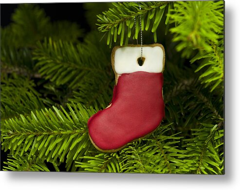Advent Metal Print featuring the photograph Present sock shape short bread cookie in Christmas tree #1 by U Schade