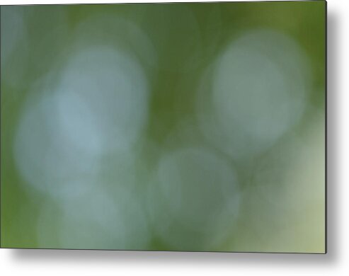 Green Metal Print featuring the photograph 1207-9471 Green Tree Bokeh by Randy Forrester