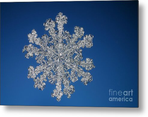 Snowflake Metal Print featuring the photograph Snowflake #131 by Ted Kinsman