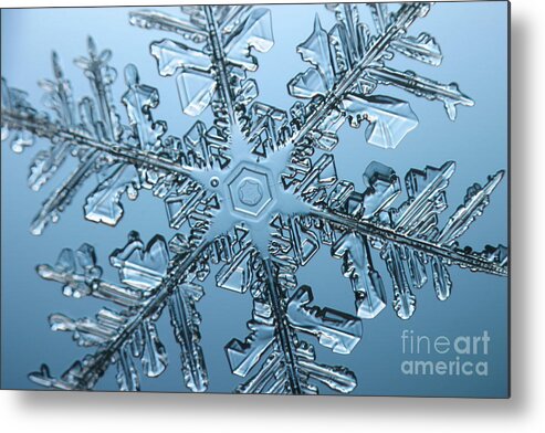 Snowflake Metal Print featuring the photograph Snowflake #151 by Ted Kinsman