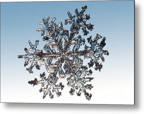 Snowflake Metal Print featuring the photograph Snowflake #175 by Ted Kinsman
