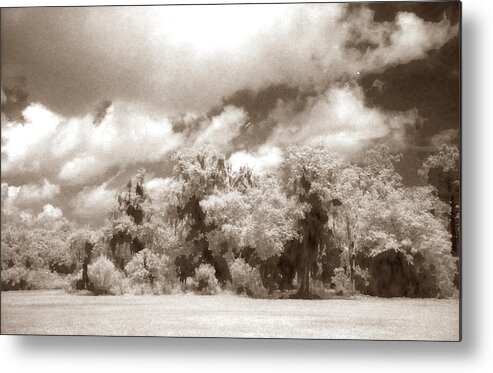 Landscape Metal Print featuring the photograph Forest Land by Jean Wolfrum