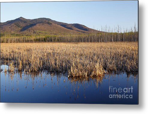 Cohos Regional Trail Metal Print featuring the photograph Pondicherry Wildlife Refuge - Jefferson New Hampshire #3 by Erin Paul Donovan