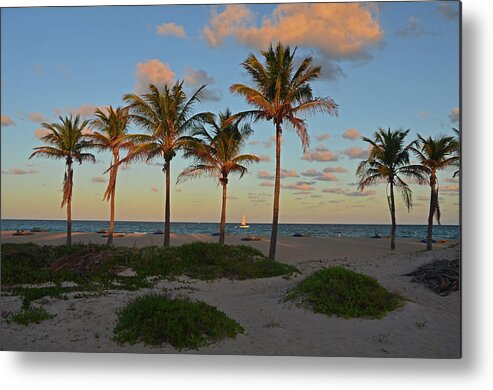  Metal Print featuring the photograph 30- Palms In Paradise by Joseph Keane