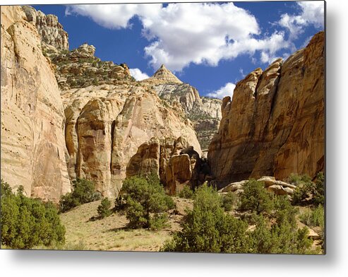 Capitol Reef National Park Metal Print featuring the photograph Capitol Reef National Park #399 by Mark Smith