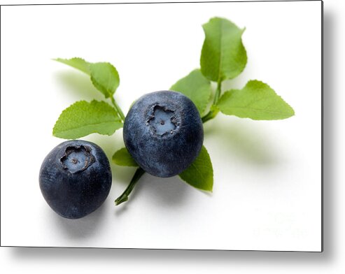 Blueberry Metal Print featuring the photograph Blueberries #5 by Kati Finell
