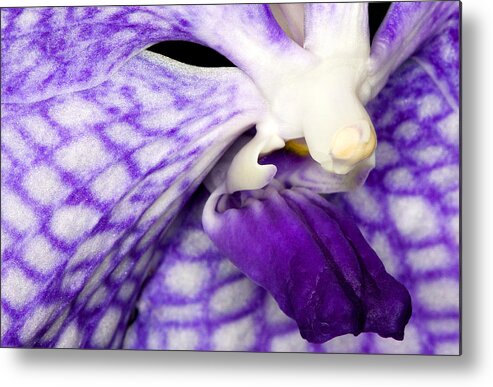 Orchid Metal Print featuring the photograph Exotic Orchid Flowers of C Ribet #9 by C Ribet