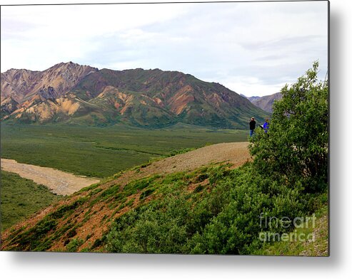 Denali National Park Metal Print featuring the photograph A Photographer's Dream by Kathy White