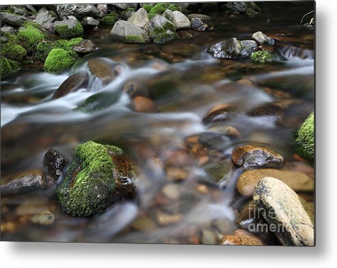 Rock Metal Print featuring the photograph A Stream In Nova Scotia by Ted Kinsman