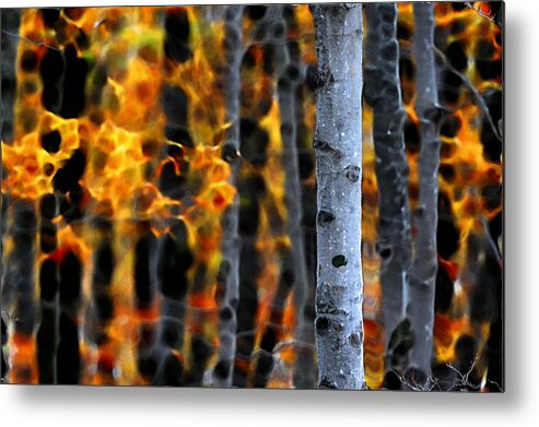 Autumn Colors Metal Print featuring the photograph Ablaze in Color by Andrea Kollo