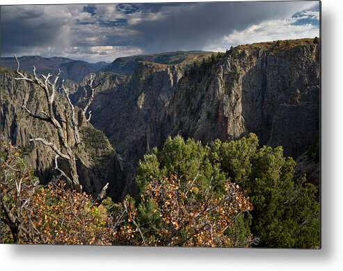 Black Canyon Of The Gunnison Metal Print featuring the photograph Afternoon Clouds over Black Canyon of the Gunnison by Greg Nyquist