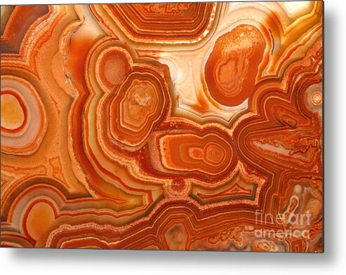 Agate Metal Print featuring the photograph Agate by Ted Kinsman