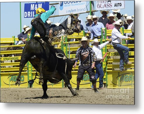 Rodeo Bull Riding Metal Print featuring the photograph Rodeo Airborne Division by Bob Christopher