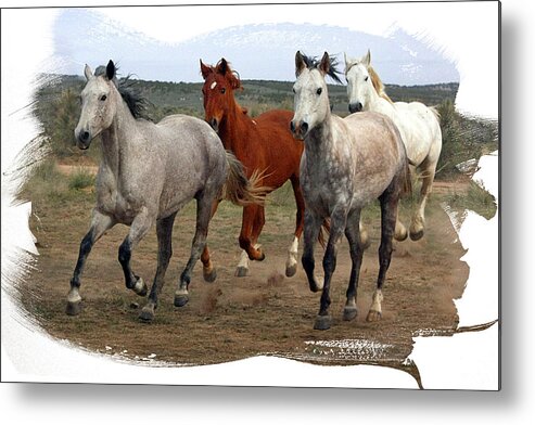 Horse Metal Print featuring the photograph All Up in the Air by Judy Deist