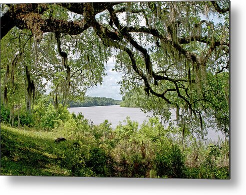 Apalachicola Metal Print featuring the photograph Apalachicola River by Paul Mashburn