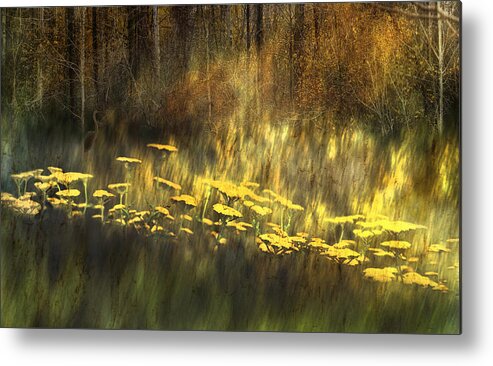 Wild Flowers Metal Print featuring the photograph As Nature Intended by Robin Webster