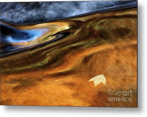 Abstract Metal Print featuring the photograph Autumn - D004549 by Daniel Dempster