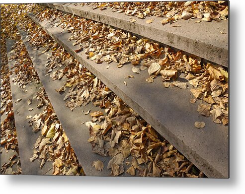 Fall Metal Print featuring the photograph Autumn - foliage on stairs by Matthias Hauser