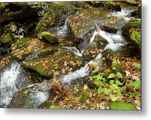 North Carolina Places Metal Print featuring the photograph Autumn Rushing By by Joel Deutsch