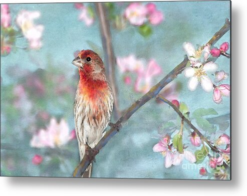 Avian Metal Print featuring the photograph Beautiful Spring by Betty LaRue
