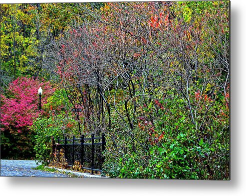 Fall.path Metal Print featuring the photograph Beaver Lake Lookout by Burney Lieberman