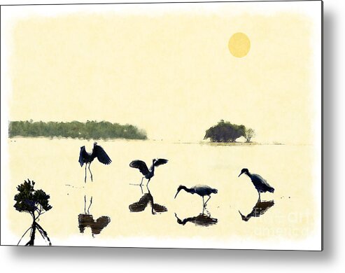 Everglades Metal Print featuring the photograph birds feeding in the Everglades by Dan Friend