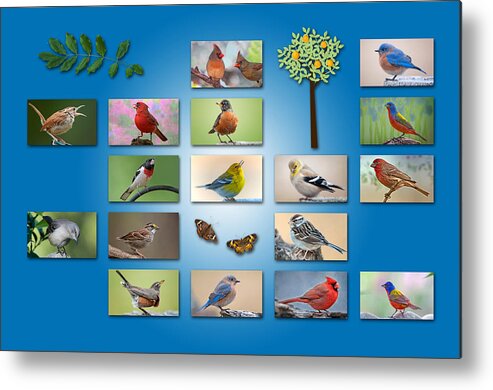 Songbirds Metal Print featuring the photograph Birds of the Neighborhood by Bonnie Barry