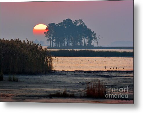 Sunrise Metal Print featuring the photograph Blackwater Orb by Susan Isakson