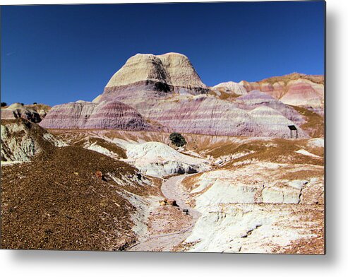 Petrified Forest National Park Metal Print featuring the photograph Blue Mesa Tower by Adam Jewell