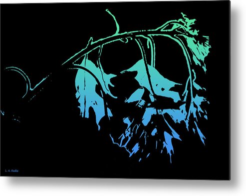 Lauren Radke Metal Print featuring the photograph Blue on Black by Lauren Radke