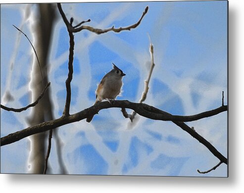 Nature Metal Print featuring the photograph Blurred Branches by Brian Stevens