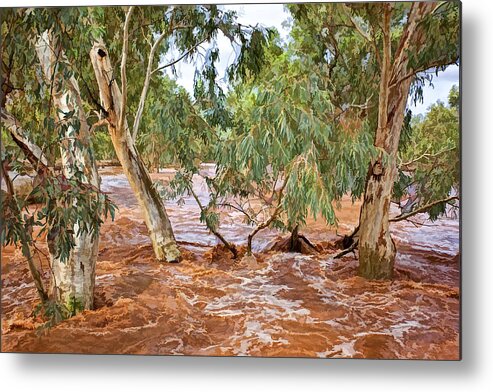 Australia Metal Print featuring the photograph Bush Flood by Paul Svensen