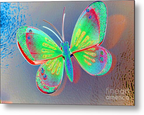 Butterfly Metal Print featuring the photograph Butterfly Decoration by Susan Stevenson
