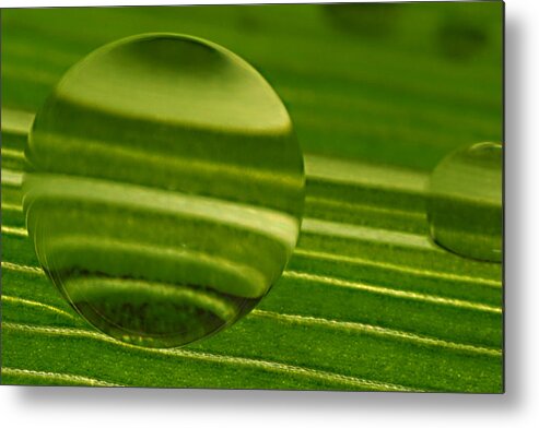 Macro Metal Print featuring the photograph C Ribet Orbscapes Green Jupiter by C Ribet