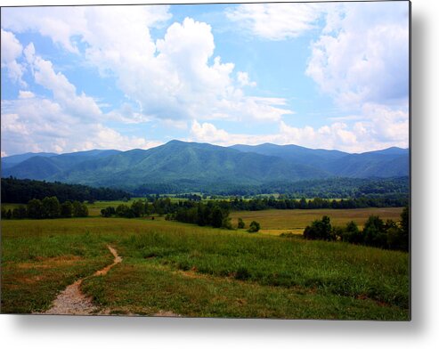 Cades Cove Metal Print featuring the photograph Cades Cove by Susie Weaver